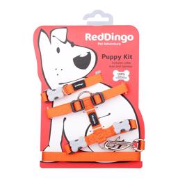 Red Dingo Hvalpesæt med Halsbånd, Sele og Snor ORANGE